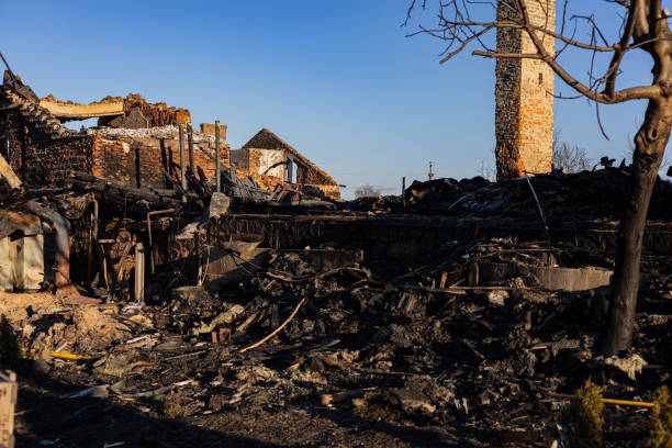 Reliable Fire Damage Repair contractor in Montgomery, TX by Fire Damage Doption