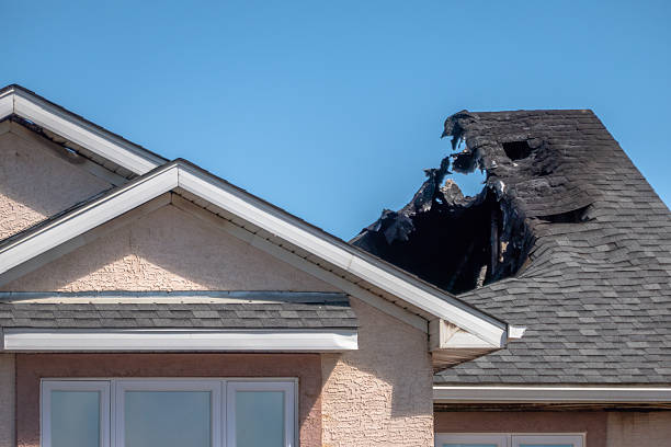 Top rated local Fire Damage Repair specialists in Montgomery, TX